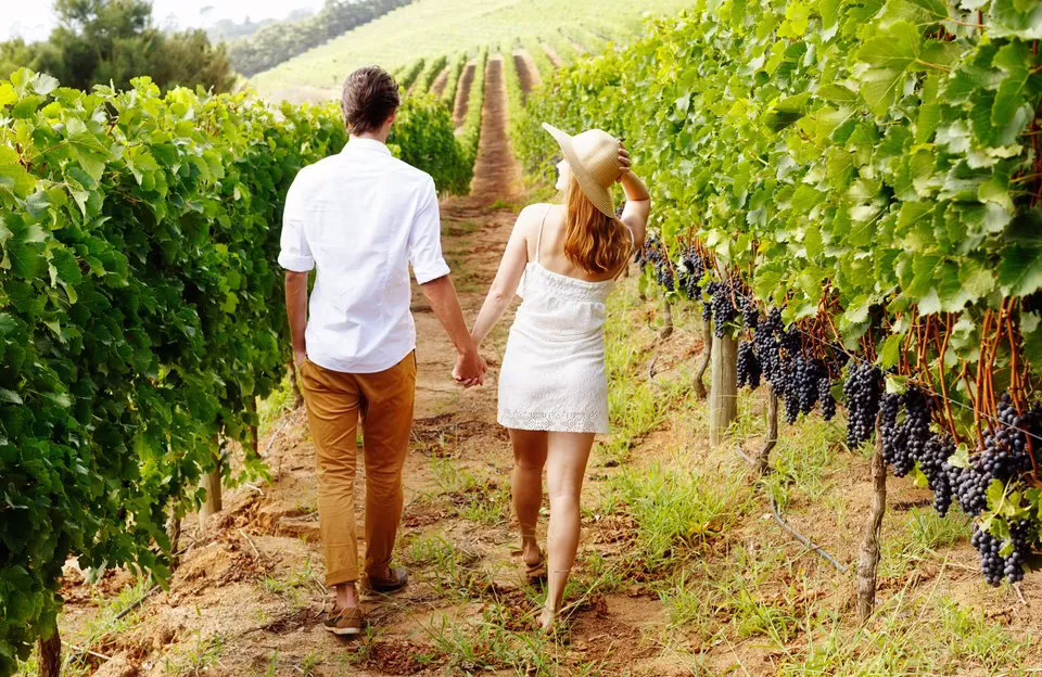 Your Guide to Intimate Napa Valley Wine Tours for Couples