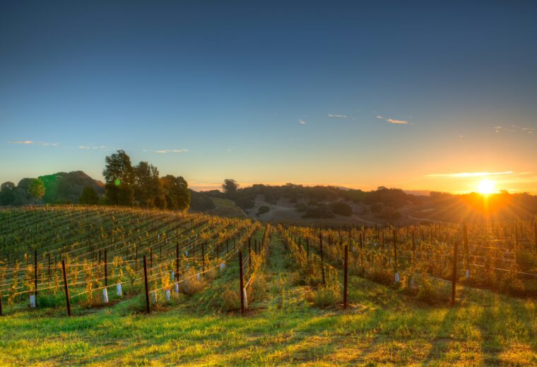 Napa Sonoma
