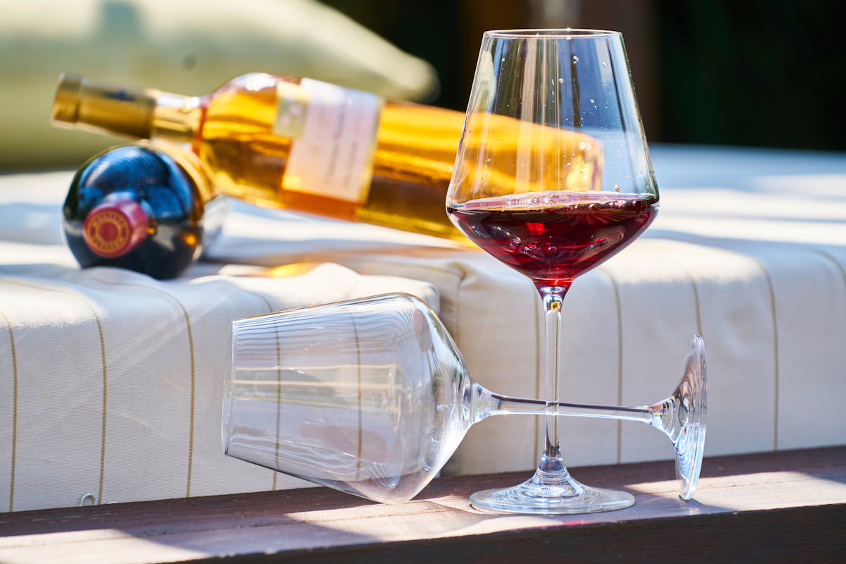 Wine Glasses Red vs White Wine